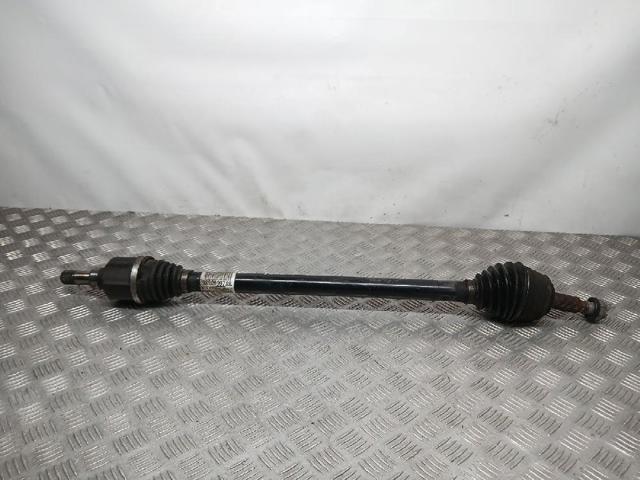 9806699780 Peugeot/Citroen