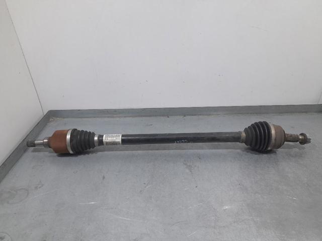 9806699780 Peugeot/Citroen