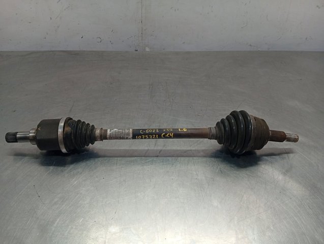 9806699880 Peugeot/Citroen