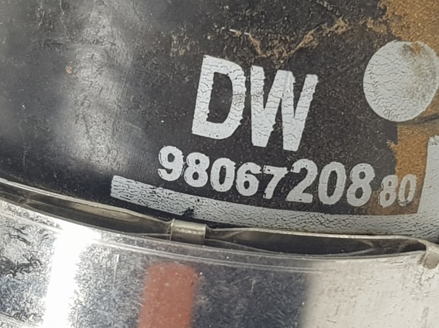 9806720880 Peugeot/Citroen