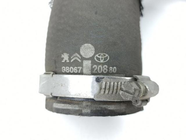 9806720880 Peugeot/Citroen