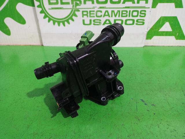 9807198480 Peugeot/Citroen