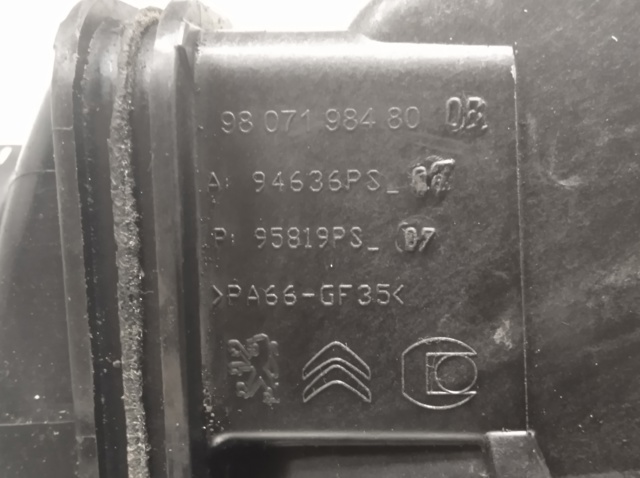 9807198480 Peugeot/Citroen