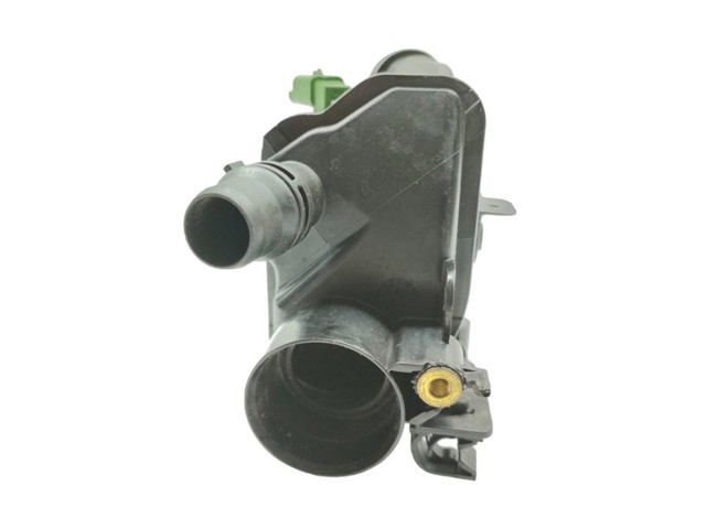 9807198480 Peugeot/Citroen