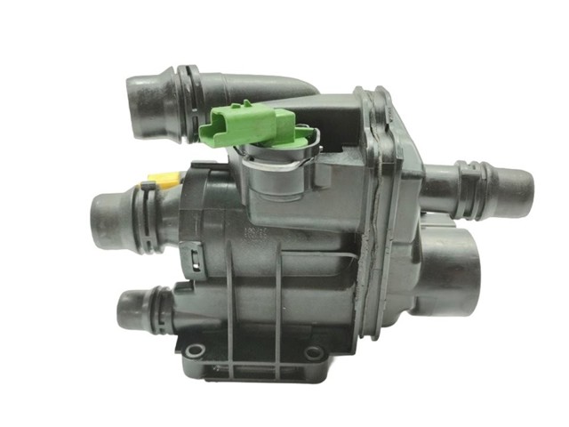 9807198480 Peugeot/Citroen