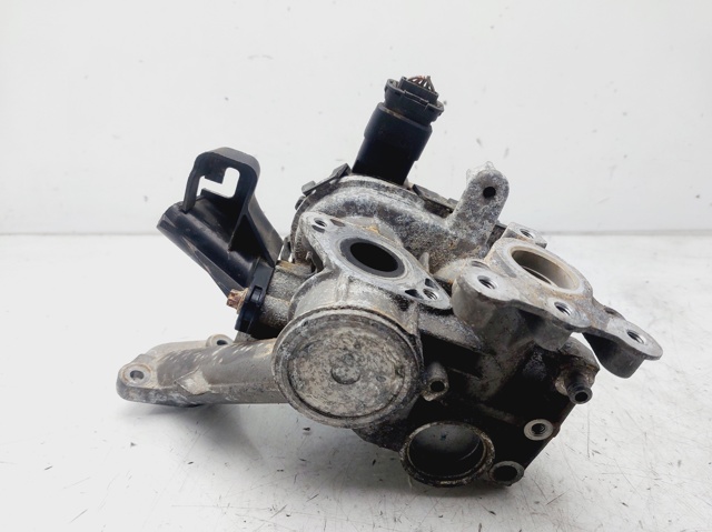 9807369980 Peugeot/Citroen
