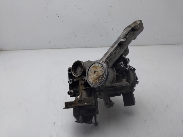 9807369980 Peugeot/Citroen