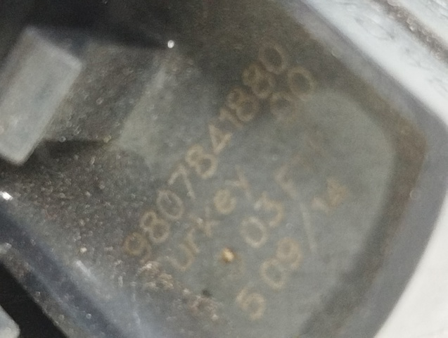 9807841880 Peugeot/Citroen