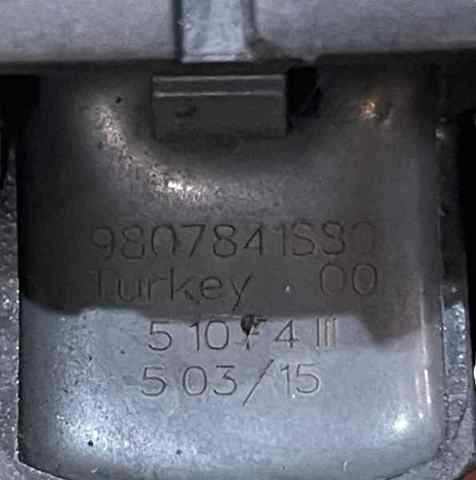 9807841880 Peugeot/Citroen