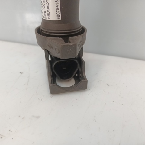 9807841880 Peugeot/Citroen