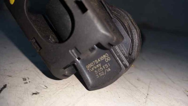 9807841880 Peugeot/Citroen