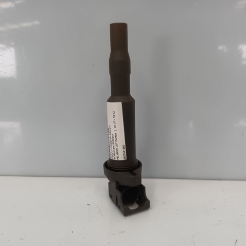 9807841880 Peugeot/Citroen