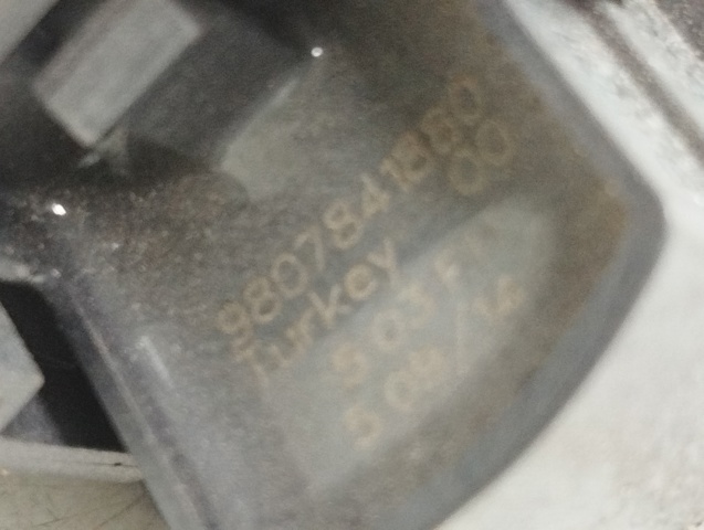 9807841880 Peugeot/Citroen