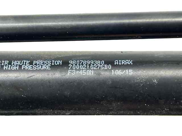 9807899380 Peugeot/Citroen