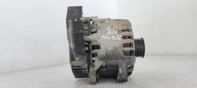 9807995580 Peugeot/Citroen