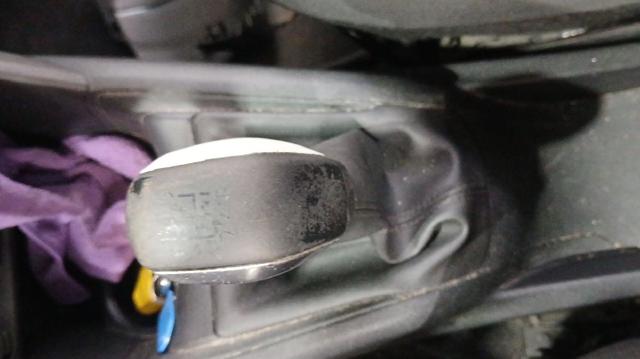 9808161780 Peugeot/Citroen