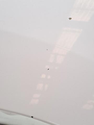 Błotnik przedni lewy Opel Vivaro K0