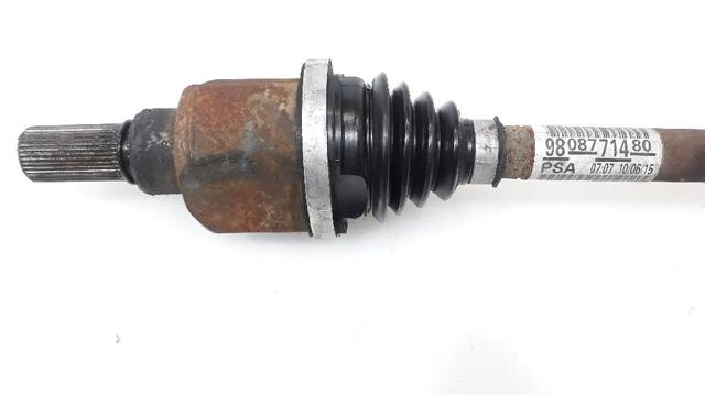 9808771480 Peugeot/Citroen