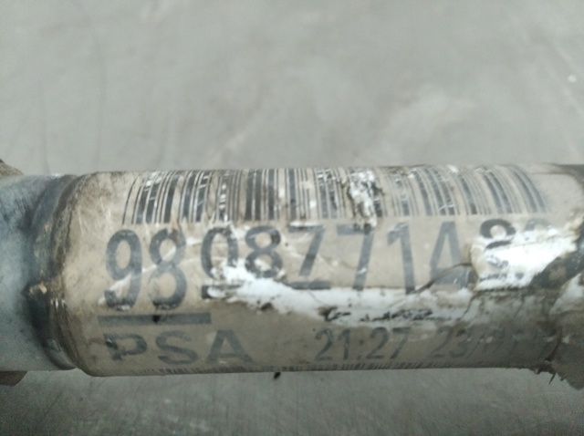 9808771480 Peugeot/Citroen