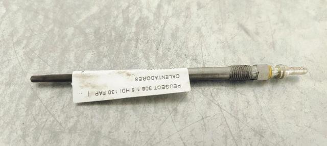 9809088180 Peugeot/Citroen