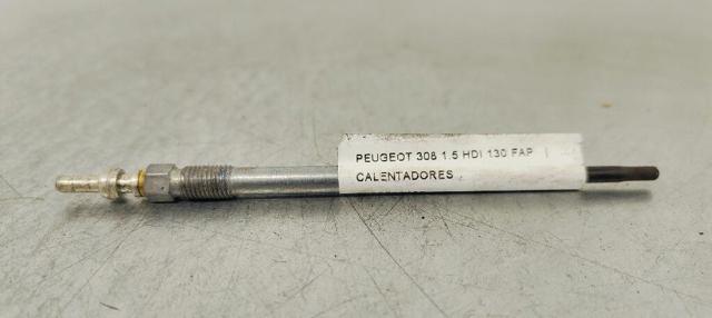 9809088180 Peugeot/Citroen