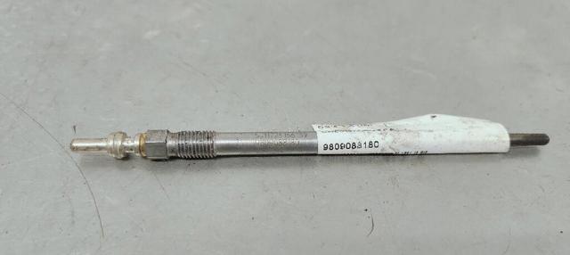 9809088180 Peugeot/Citroen