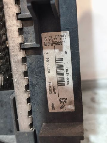 9809141780 Peugeot/Citroen