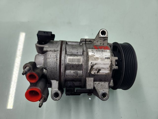 9809274280 Peugeot/Citroen