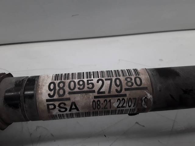 9809527980 Opel