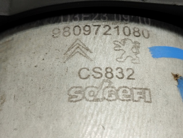 9809721080 Peugeot/Citroen