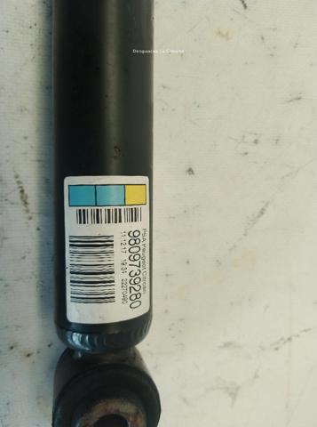 9809739280 Peugeot/Citroen