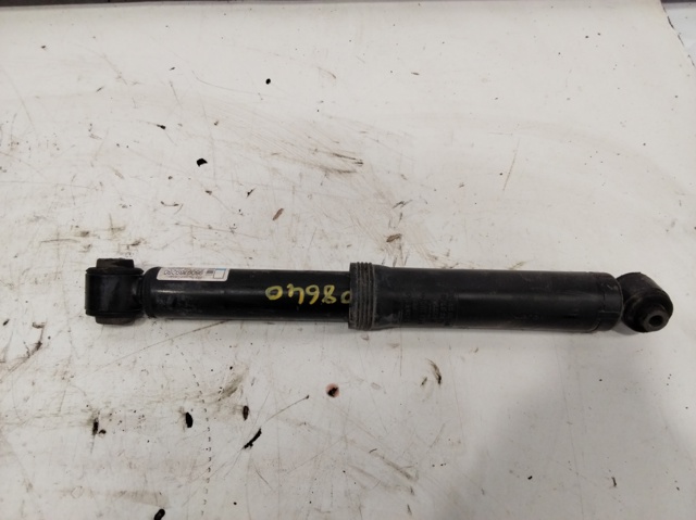 9809739280 Peugeot/Citroen