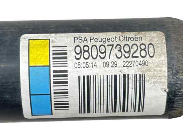 9809739280 Peugeot/Citroen