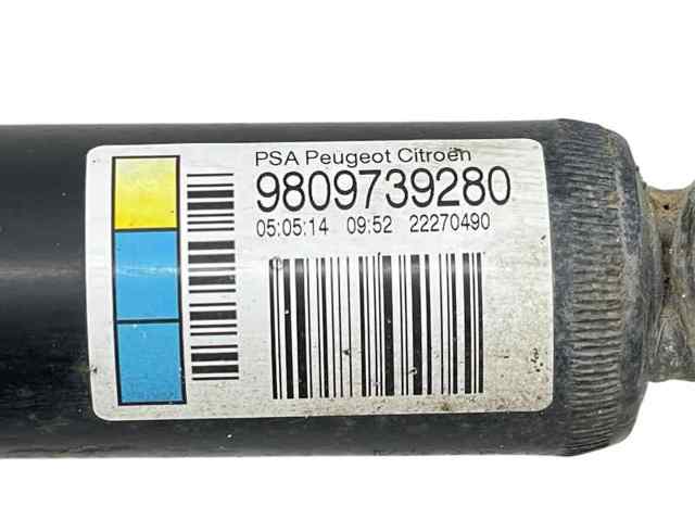 9809739280 Peugeot/Citroen