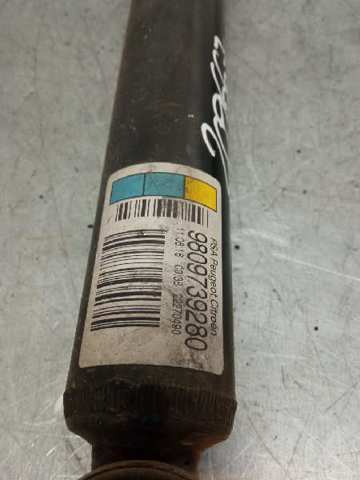 9809739280 Peugeot/Citroen