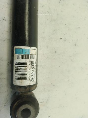 9809739280 Peugeot/Citroen