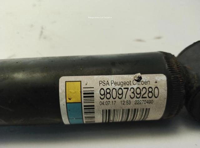 9809739280 Peugeot/Citroen