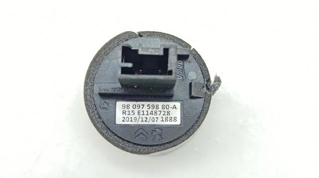 9809759880 Peugeot/Citroen