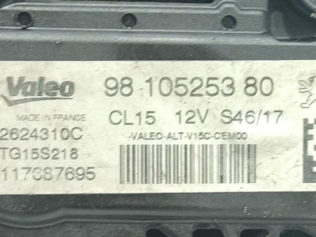 9810525380 Peugeot/Citroen