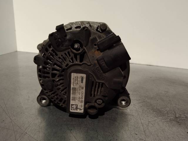 9810525380 Peugeot/Citroen