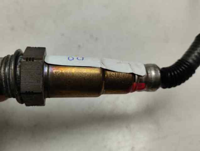 9810666880 Opel