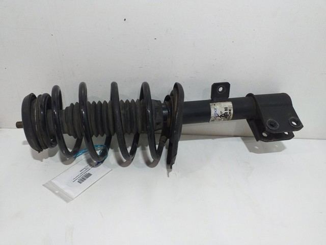 9810763880 Peugeot/Citroen