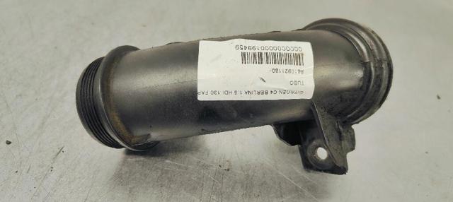 9810921180 Peugeot/Citroen
