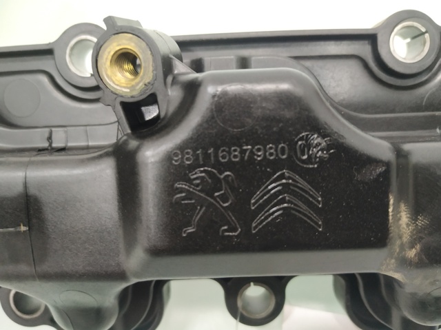 9811687980 Peugeot/Citroen
