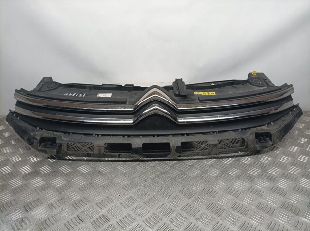 Atrapa chłodnicy 9812063477 PEUGEOT