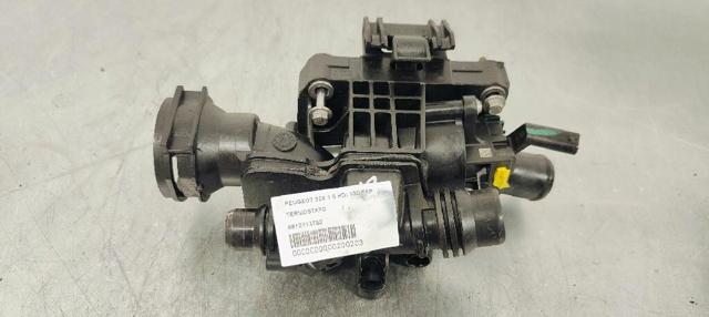 9812113780 Peugeot/Citroen