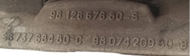 9812667680 Peugeot/Citroen
