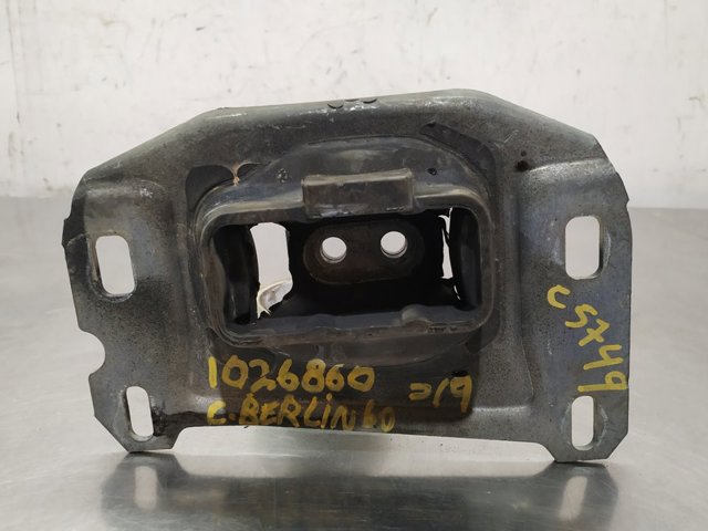 9812667680 Peugeot/Citroen