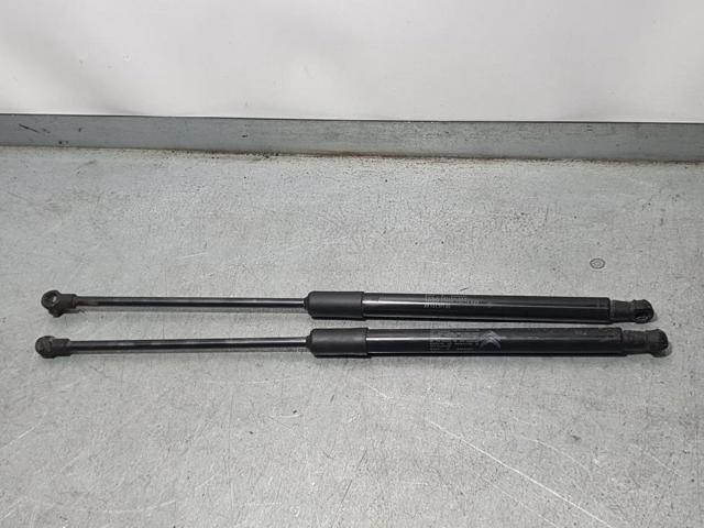 9813177780 Peugeot/Citroen