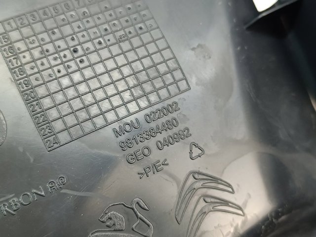 9813384480 Peugeot/Citroen